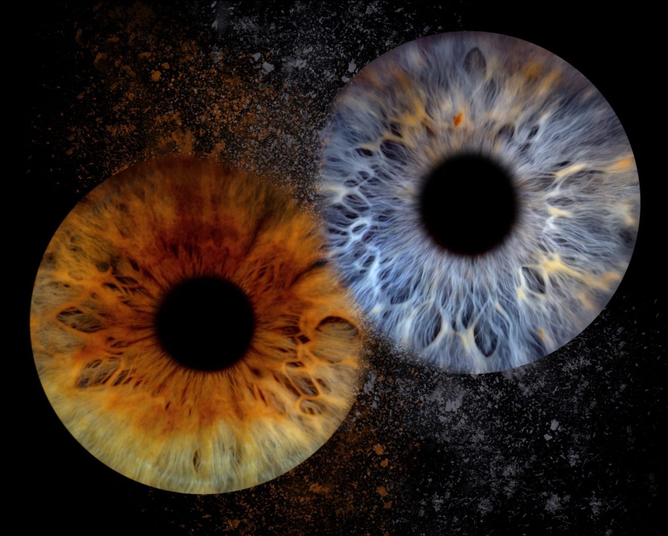 Iris-Fotografie Zwei Augen mit unterschiedlichen irisierenden Farben auf schwarzem Hintergrund.